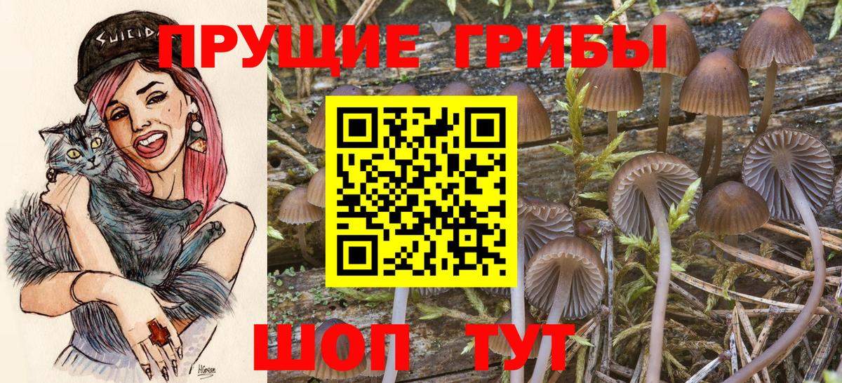 Галлюциногенные грибы Psilocybe Самара