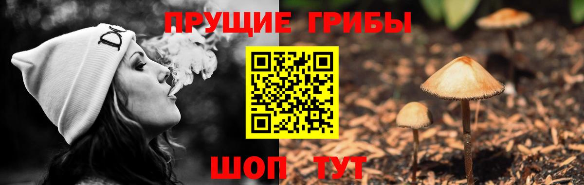 Галлюциногенные грибы GOLDEN TEACHER  Вход с VPN  Самара 